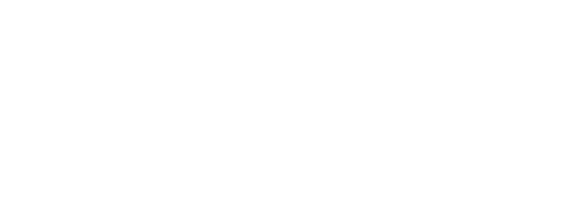 Vcheck logo